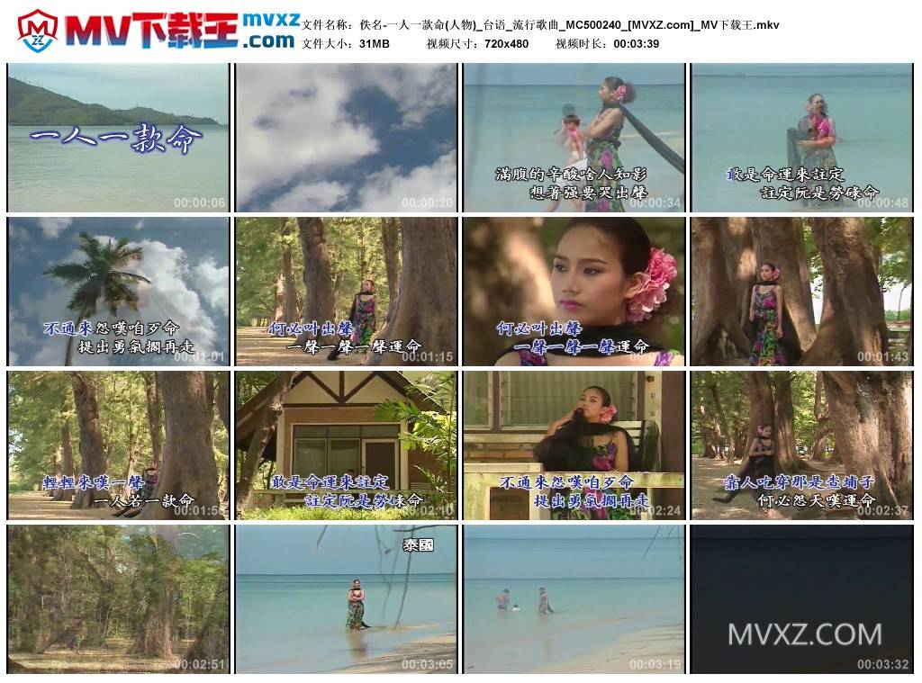 佚名-一人一款命(人物)_台语_流行歌曲_MC500240